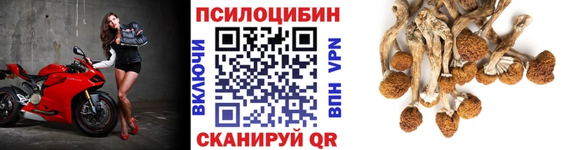 Псилоцибиновые грибы Magic Shrooms где найти наркотики Коркино